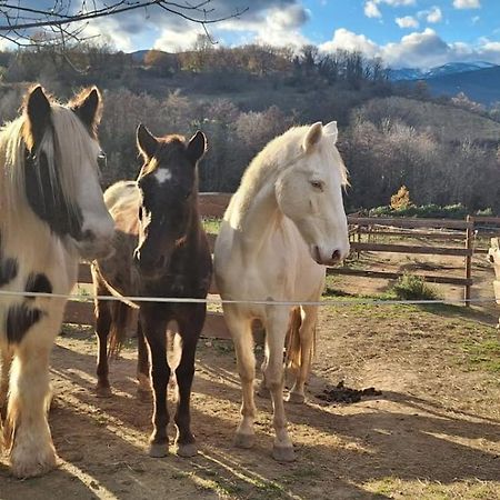 Chambre D'Hotes Le Petit Ranch Los Masos Экстерьер фото