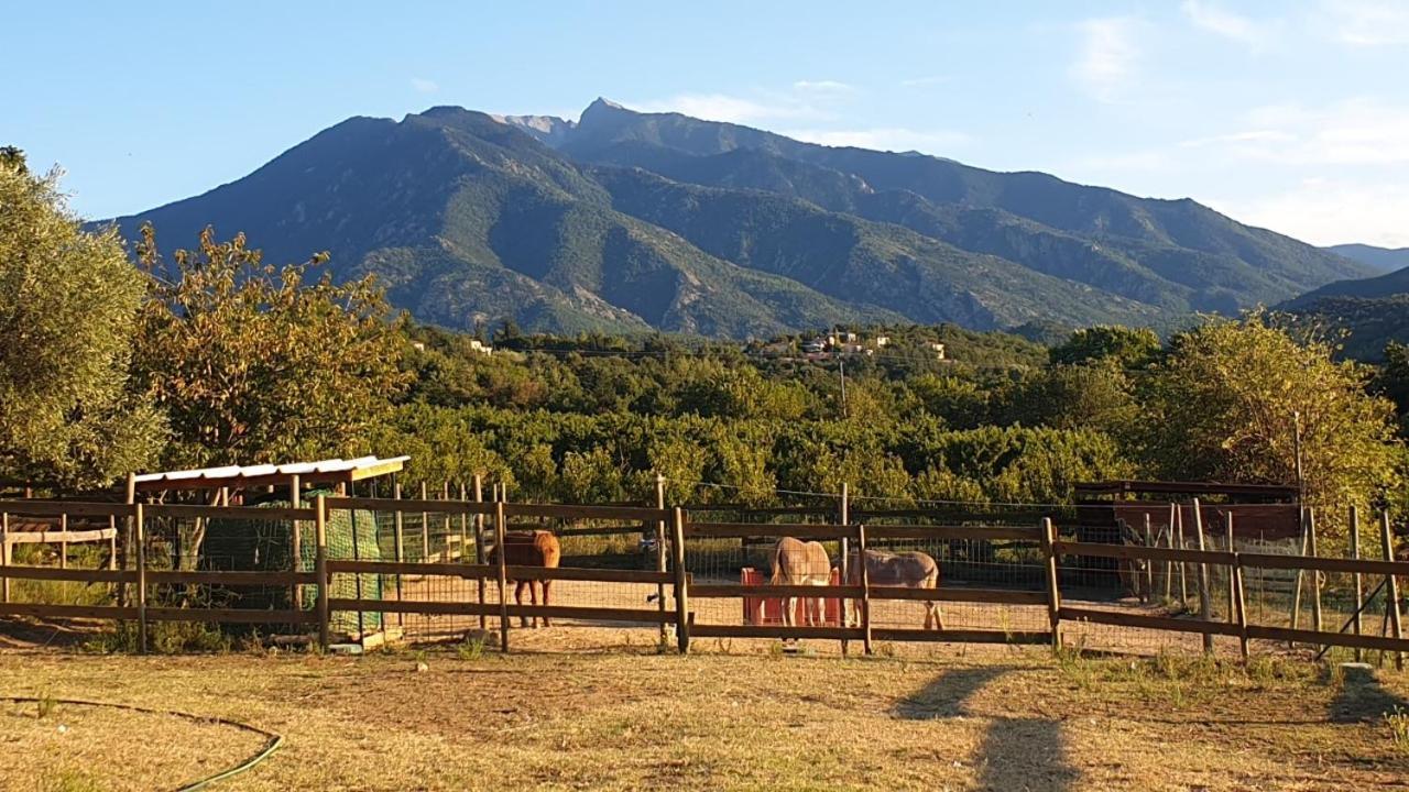 Chambre D'Hotes Le Petit Ranch Los Masos Экстерьер фото