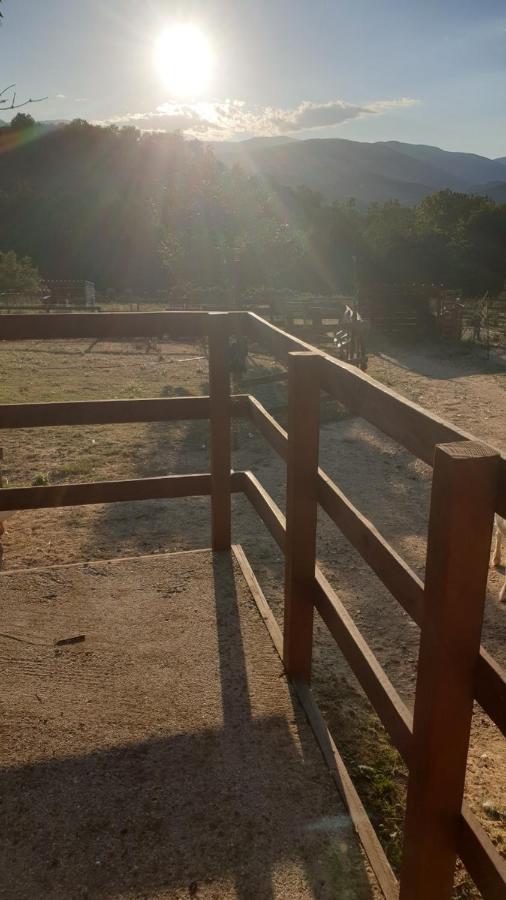 Chambre D'Hotes Le Petit Ranch Los Masos Экстерьер фото