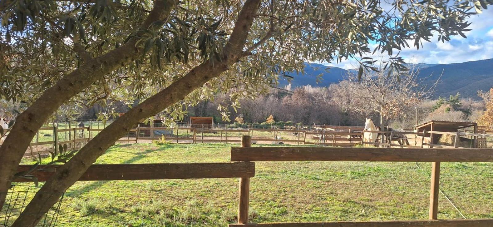 Chambre D'Hotes Le Petit Ranch Los Masos Экстерьер фото
